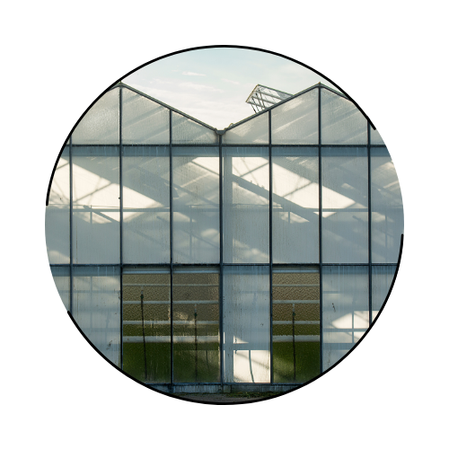 アフターフォロー