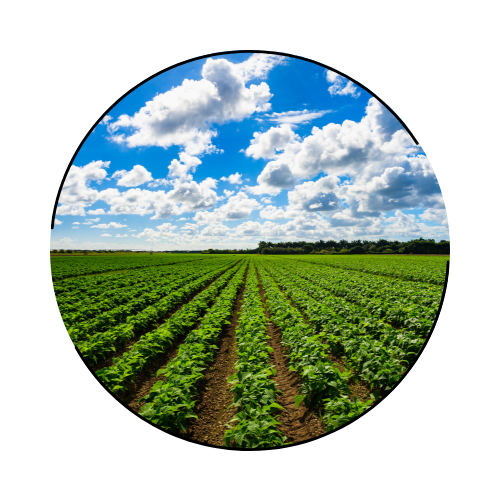 農業を新たに始めたい