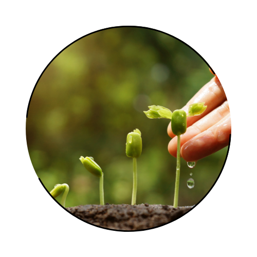 農業経営や技術について学びたい