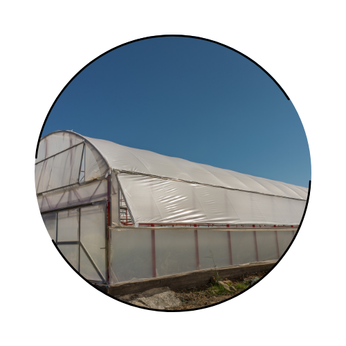 ビニールハウス修理