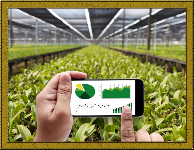 栽培システム導入