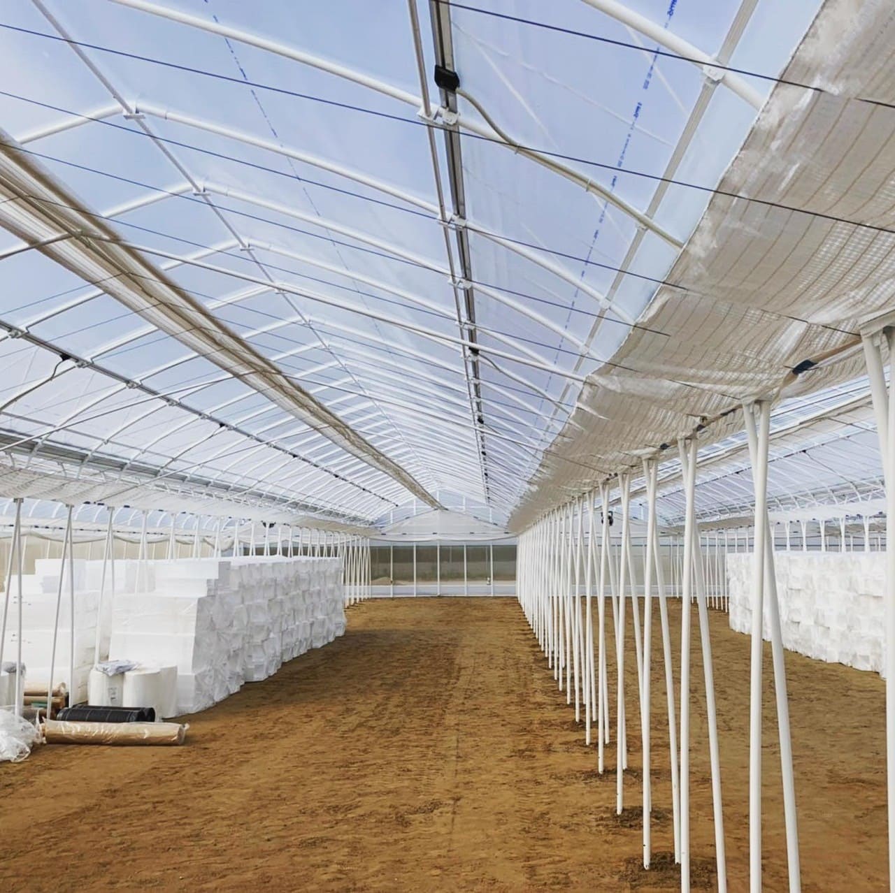 農建ホールディングス