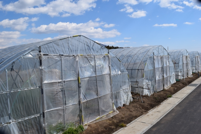 農業用ハウス